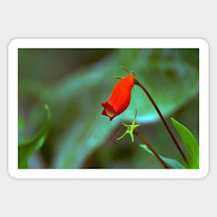 red flower in the garden Sticker